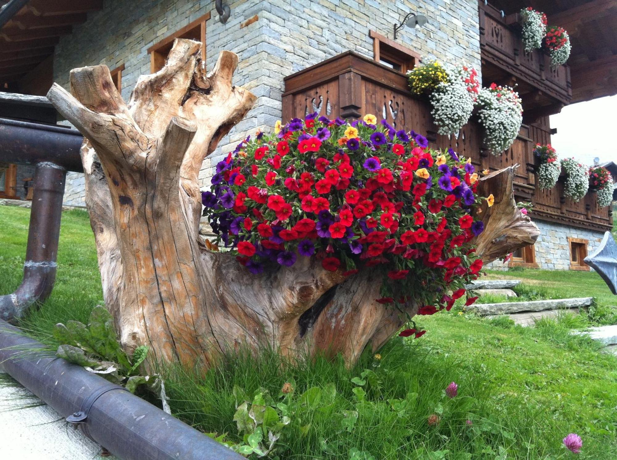 Residence Lo Peyo Champoluc Exterior foto